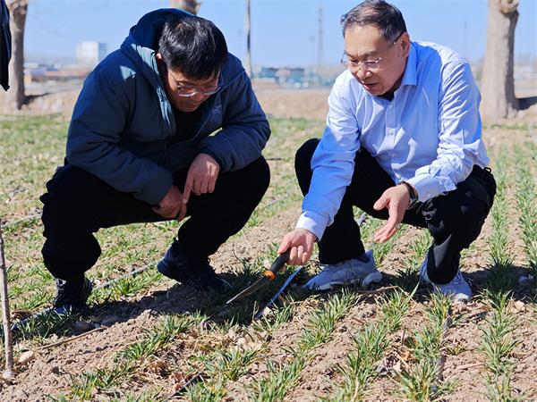 1773888809480367.jpg 11(1).jpg